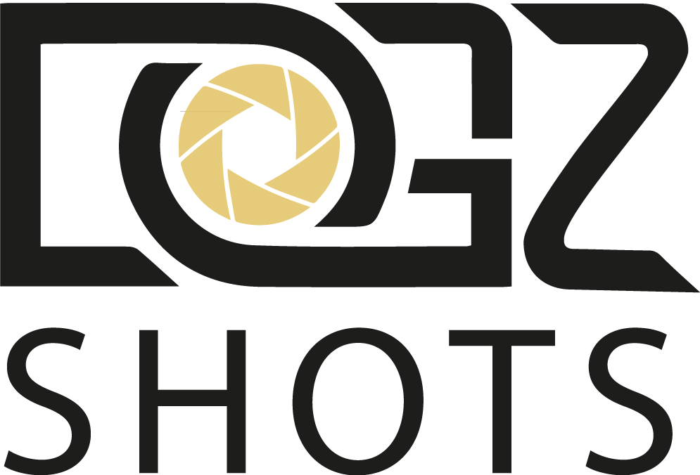 dgzshots_logo_transparent_black