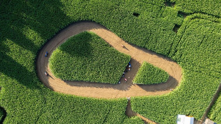 DJI_0908