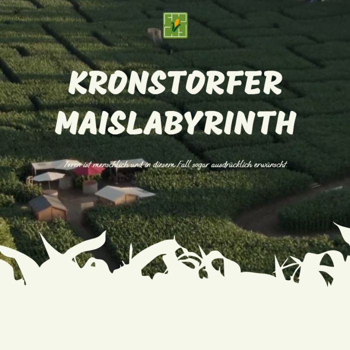 Neue Website und Fotos für das Kronstorfer Maislabyrinth