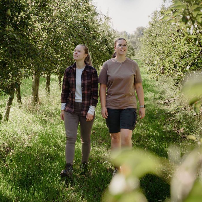 Neues Video für Schobermost